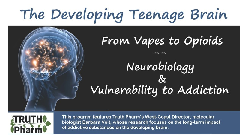 The Developing Teenage Brain flyer 